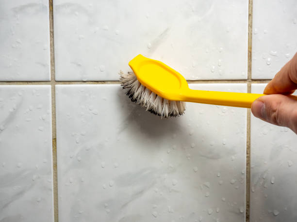 Best Certified Mold Removal  in Rosemount, MN