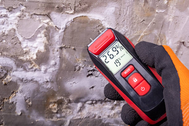 Best Mold Testing  in Rosemount, MN