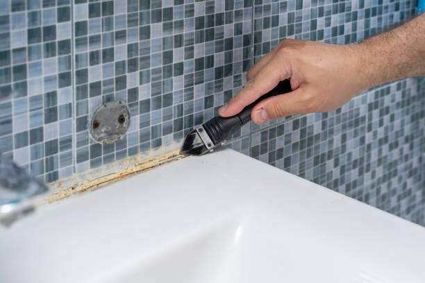 Best Mold Removal Near Me  in Rosemount, MN